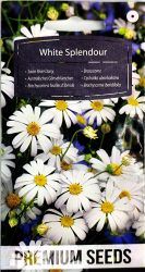 Swan River Daisy White Splendour Seeds